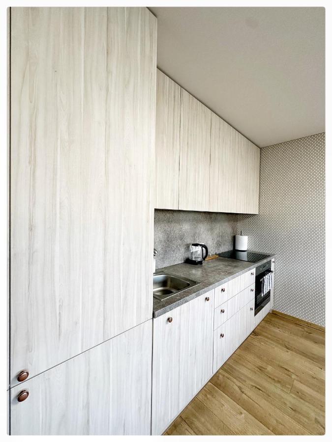 Apartaments In The City Centre Каунас Экстерьер фото