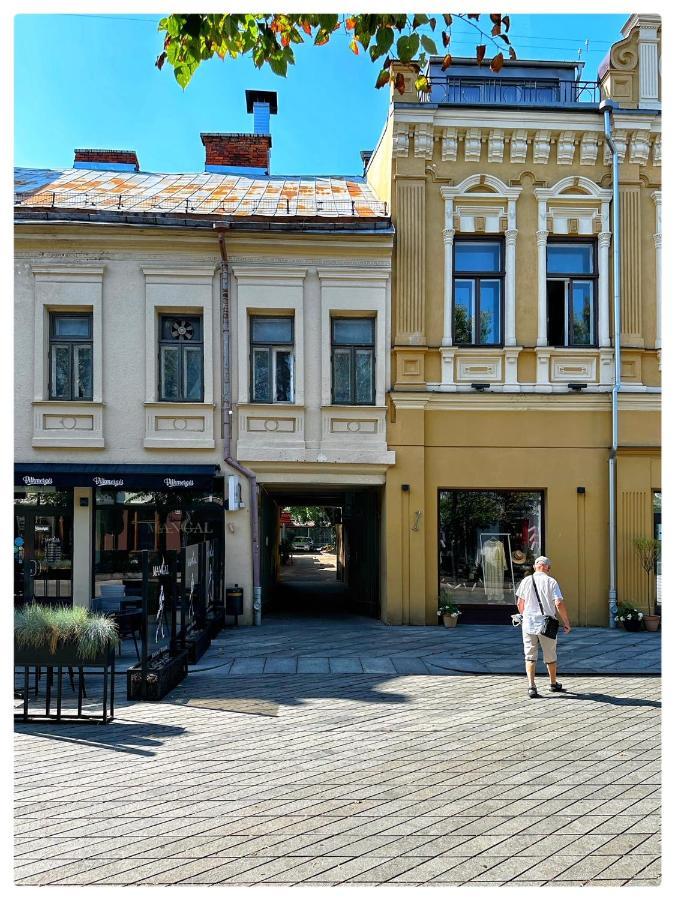 Apartaments In The City Centre Каунас Экстерьер фото